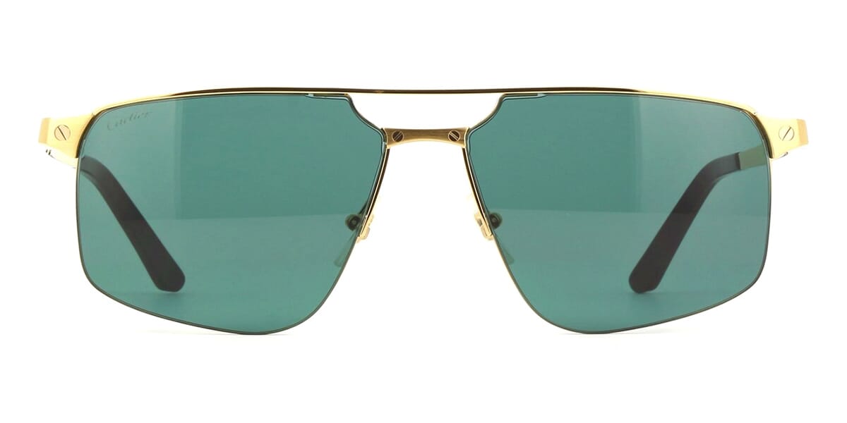 Cartier CT0385S 002