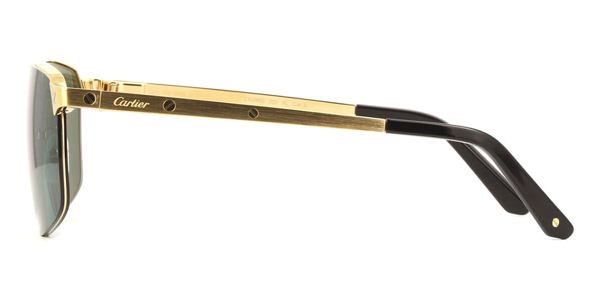 Cartier CT0385S 002