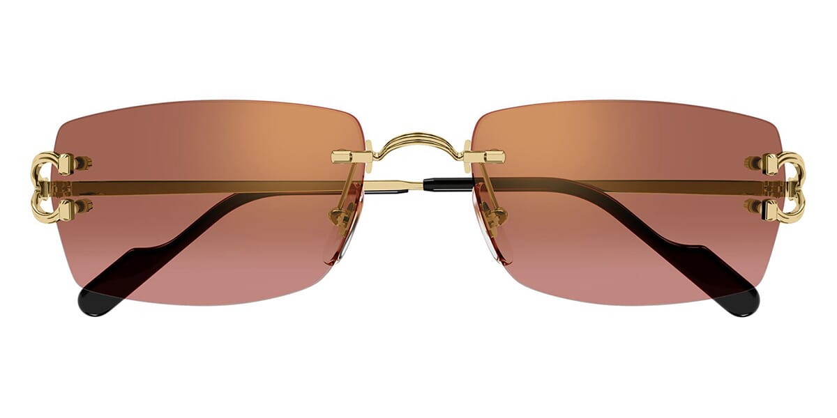 Cartier CT0550S 005