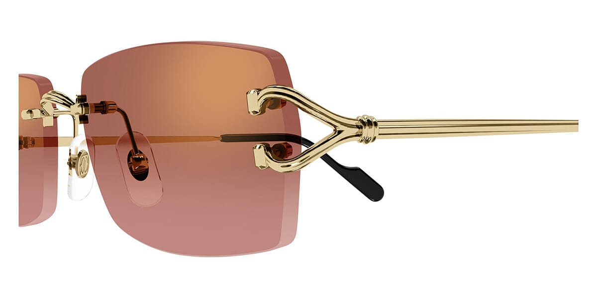 Cartier CT0550S 005
