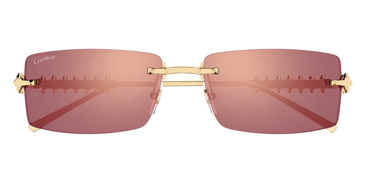 Cartier CT0604S 004